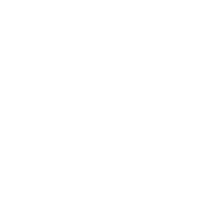 Al Azhar Groupe logo