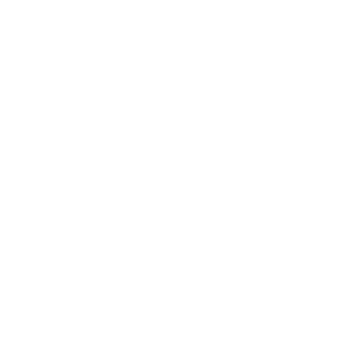 Inerga logo