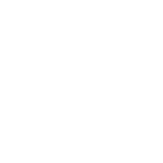 Seaal logo